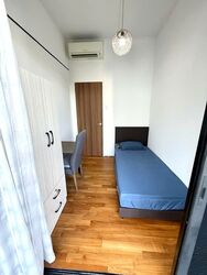 Village @ Pasir Panjang (D5), Condominium #582245811